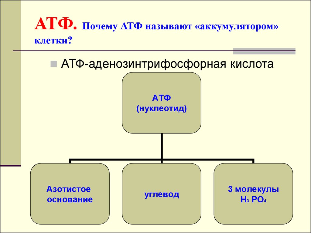 Клетка содержит атф. АТФ аденозинтрифосфорная кислота. Классификация АТФ. АТФ презентация. Молекула АТФ азотистое основание.