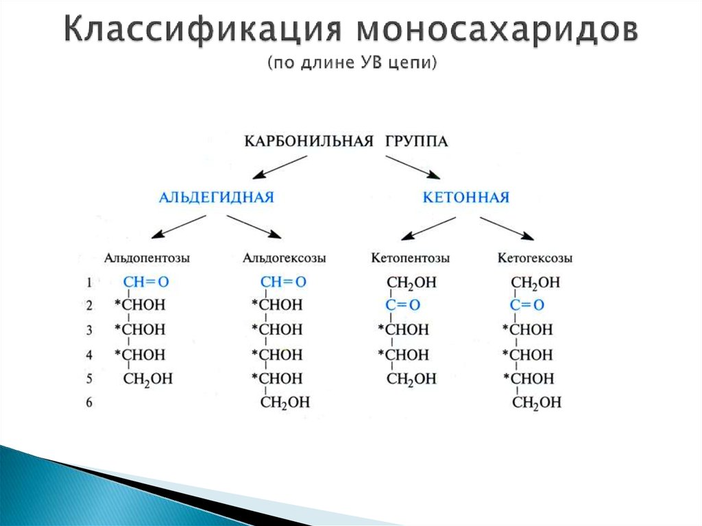 На какие группы в зависимости. Классификация строение и номенклатура моносахаридов. Классификация и строение моносахаридов. Моносахариды пентозы классификация. Классификация и химические свойства моносахаридов.