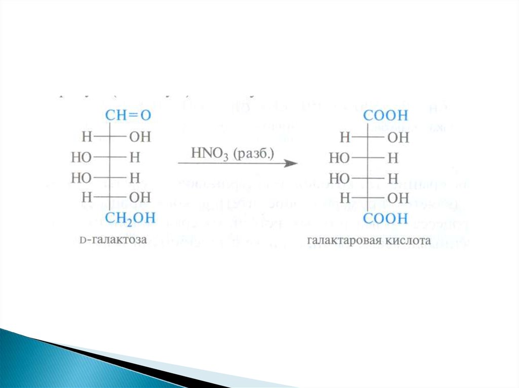 Установите соответствие hno2. Д галактоза hno3. D галактоза hno3. Галактоза hno3. D галактоза и азотная кислота.