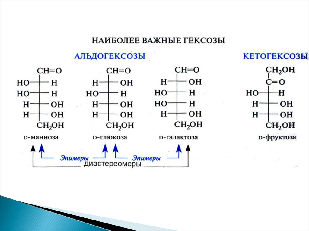 Фруктоза гексоза. Открытые формы энантиомера, диастереомера и эпимера для d-галактозы.. Эпимер галактозы по с3. Глюкоза манноза галактоза фруктоза формулы. Фруктоза и галактоза - эпимеры по с-3.