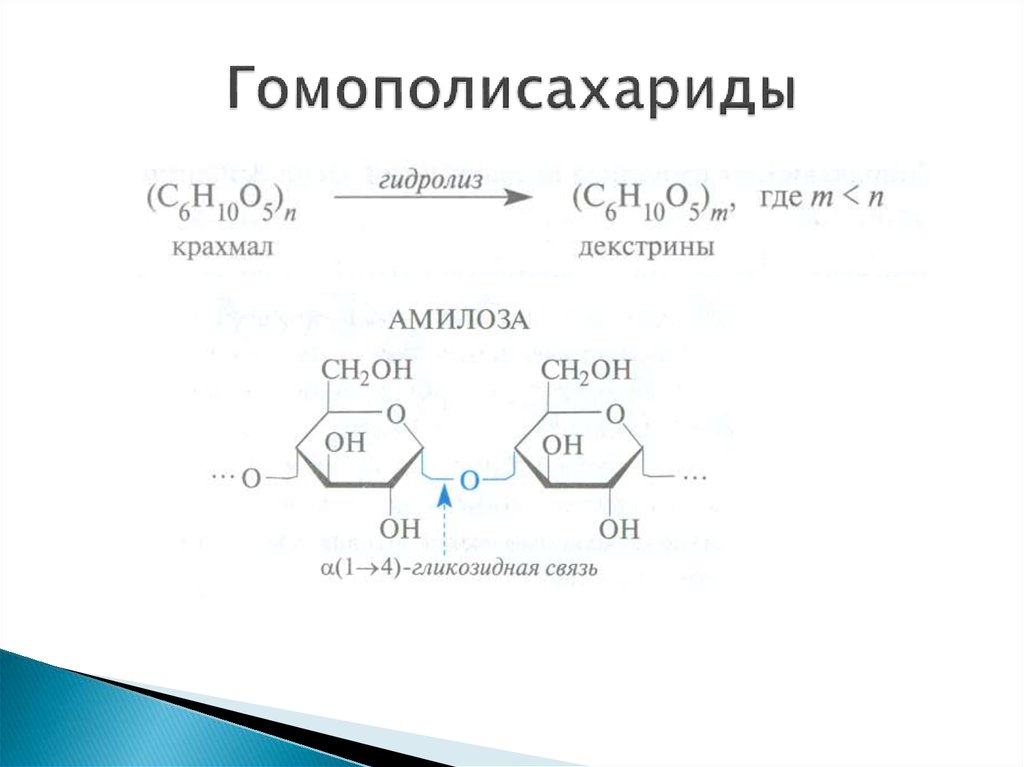 Напишите схему гидролиза крахмала