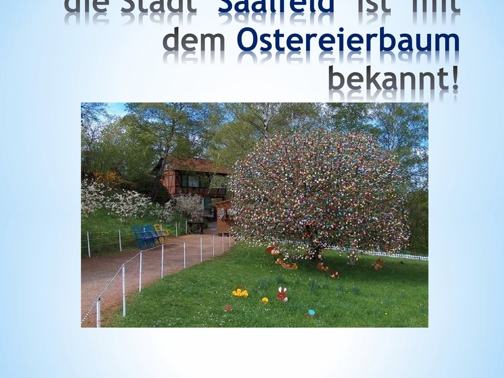 die Stadt Saalfeld ist mit dem Ostereierbaum bekannt!
