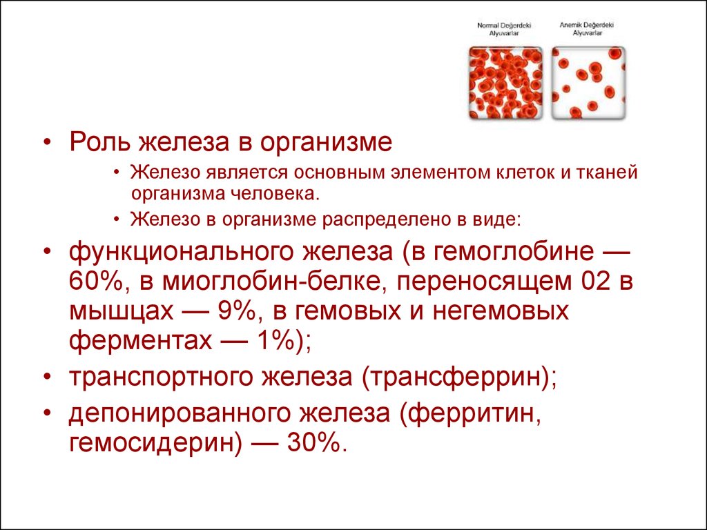 Железо в роли человека его функции