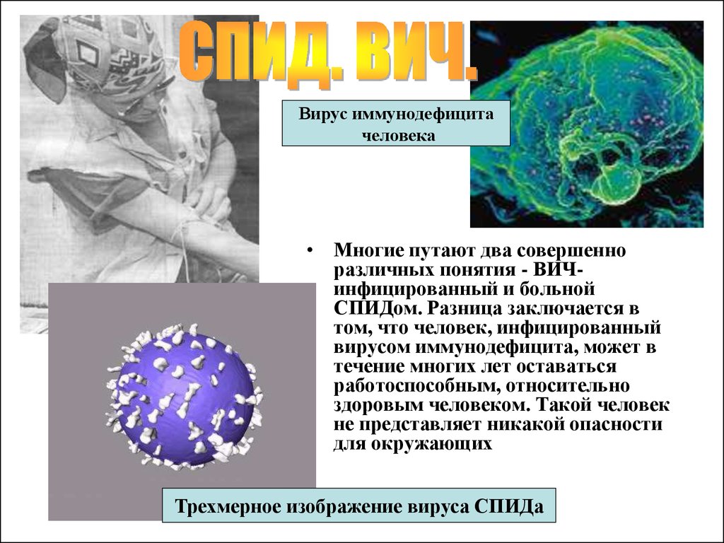ВИЧ биология 10 класс. Иммунодефицит человека. Вирусы и чем они опасны. Доклад вирус иммунодефицита. Лабораторная работа по биологии спид и гепатит