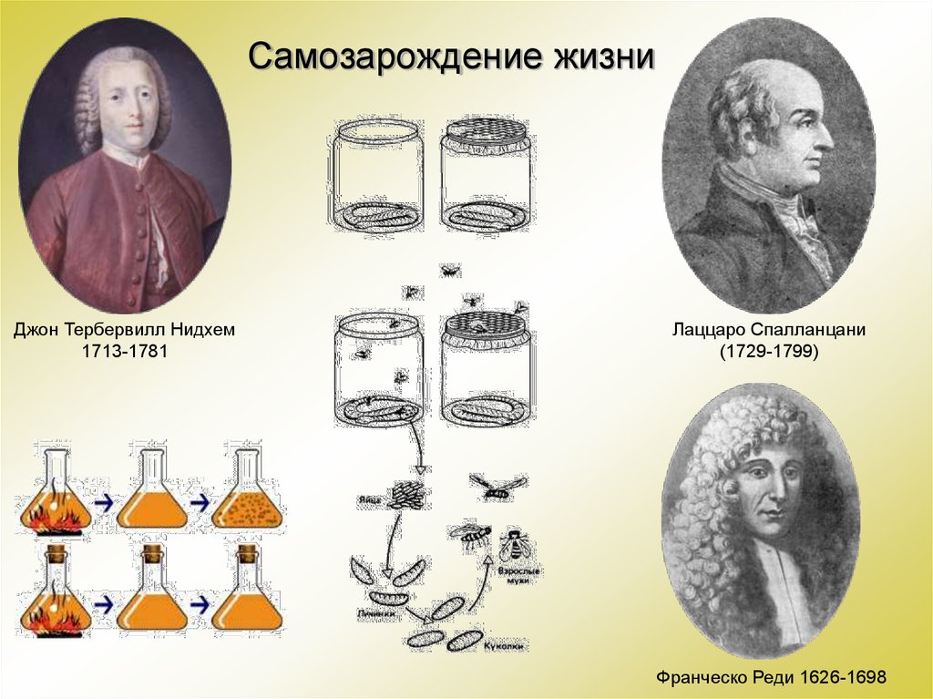 Суть теории самозарождения жизни. Самозарождение Франческо реди. Опыты Франческо реди и Пастера. Теория самозарождения реди. Гипотеза самозарождения Франческо реди.