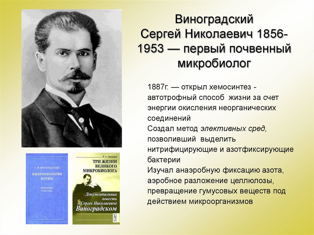 Н м в биологии. Виноградский вклад в микробиологию.