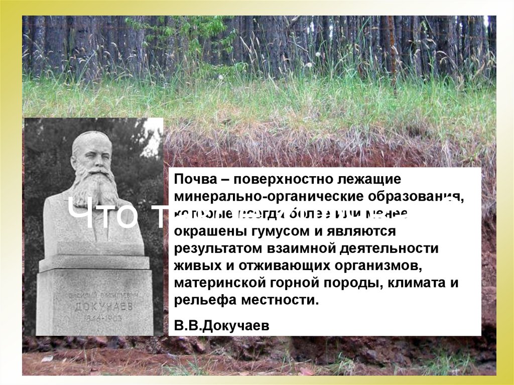 Биология почв. Почвоведение и биология. Связь почвоведения с биологией. Красильников биология почв. Минеральный призе презентация почвоведение.