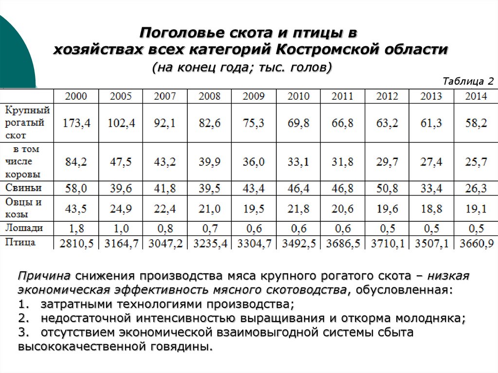 Поголовье скота. Поголовье скота и птицы. Экономическая эффективность производства мяса КРС. Снижение поголовья крупного рогатого скота причины. Таблица поголовья скота.