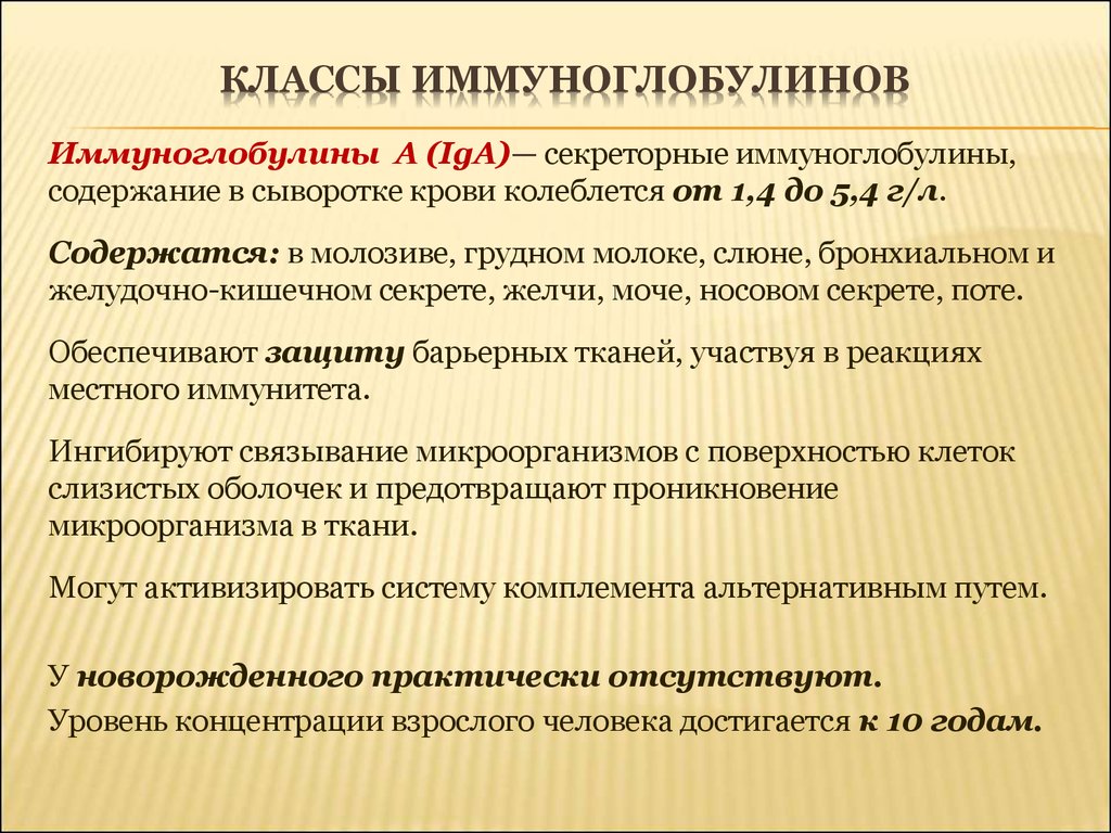 Иммуноглобулины содержат. Иммуноглобулины слюны. Классы иммуноглобулинов. Классы иммуноглобулинов в молозиве. Класс иммуноглобулинов в грудном молоке.