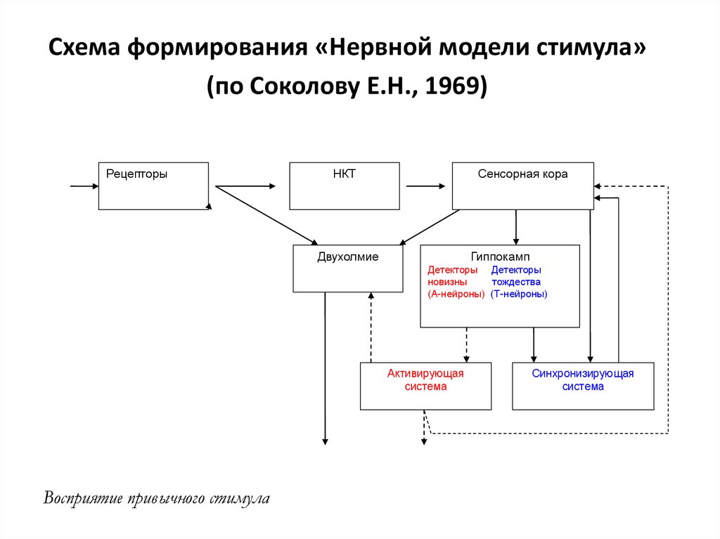 Схема модели