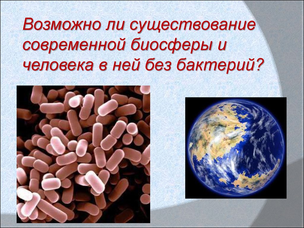 Презентация бактерий в жизни человека. Бактерии в природе. Бактерии в природе и жизни человека. Роль бактерий в природе и жизни человека. Роль бактерий на земле.