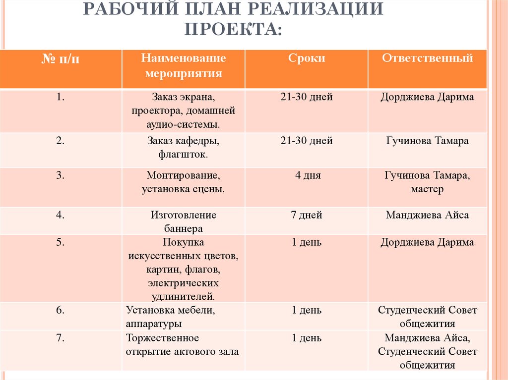 Рабочий план реализации проекта