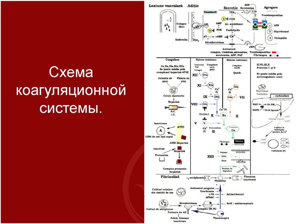 Схемы по фармакологии