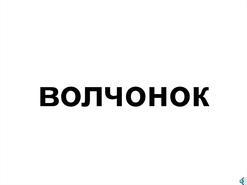 волчонок