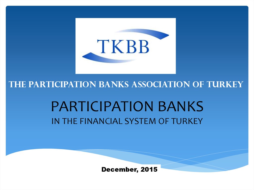 PARTICIPATION BANKS IN THE FINANCIAL SYSTEM OF TURKEY
