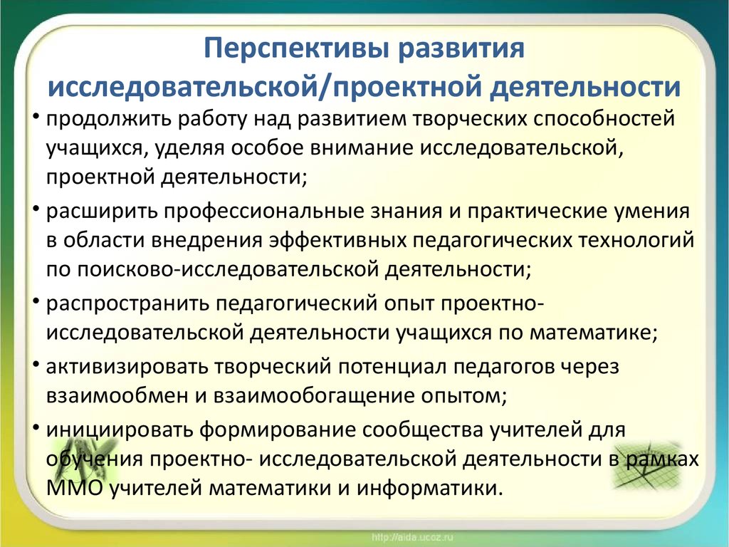 Перспектива исследовательского проекта