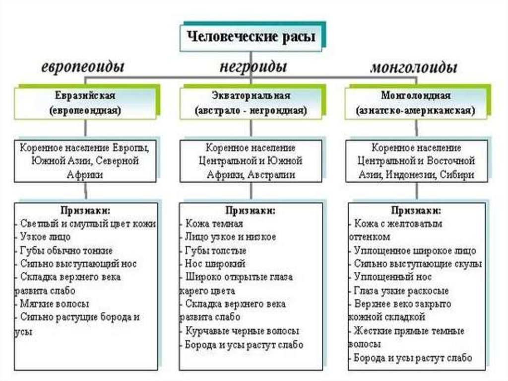 Схема расовой классификации