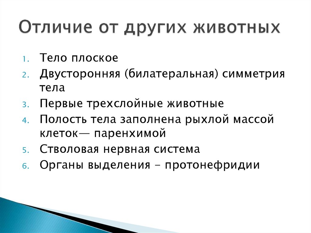 Разница животного. Отличие животных от других организмов. Животные отличаются от других. Отличие животных от остальных. Чем звери отличаются от других животных.