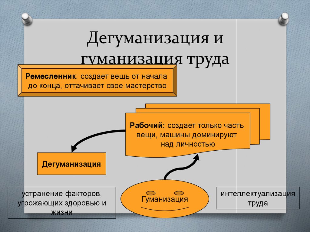 Волосы приглажены разработанный план дисциплинированный сын груженный