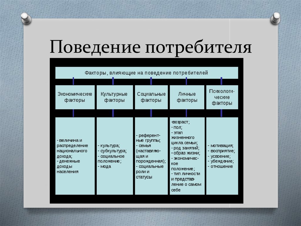 Стиль Жизни Потребителя