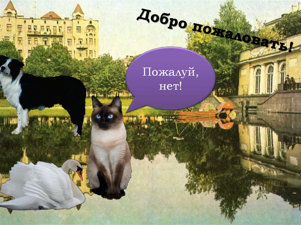 Добро пожаловать!