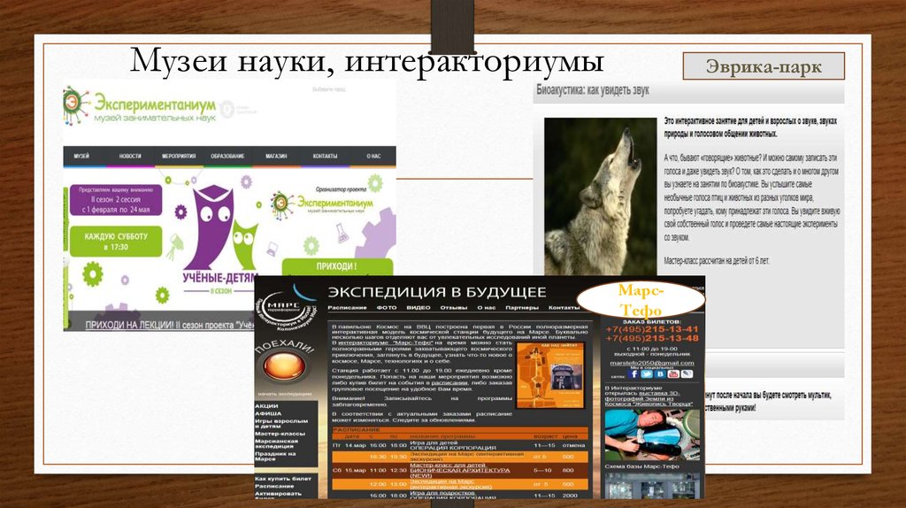 Музеи науки, интеракториумы