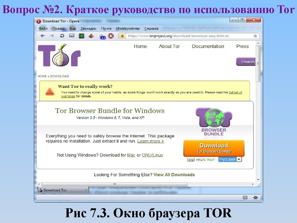 Tor browser bundle no install мега darknet через торрент mega2web