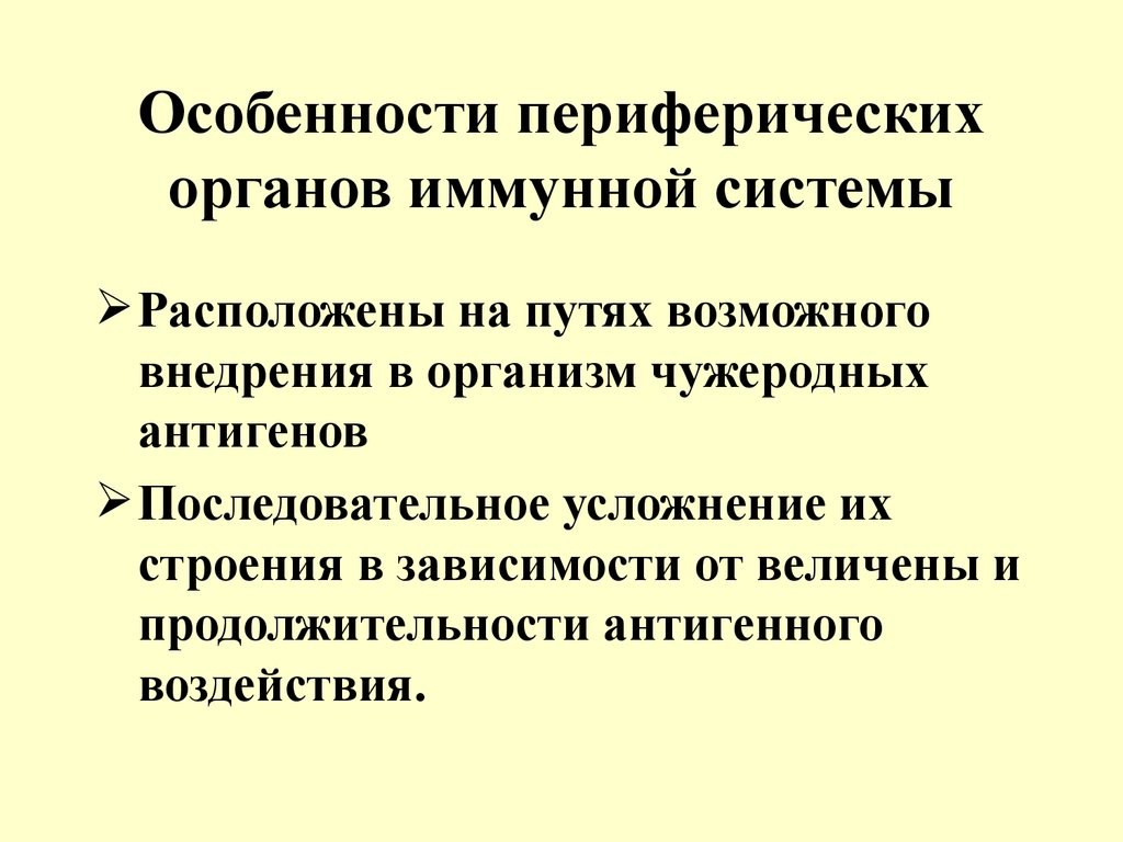 Особенности органа