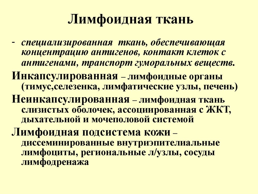 Роль иммунологии. Лимфоидная ткань. Строение лимфоидной ткани. Лимфоидная ткань функции. Функции лимфоидной ткани.