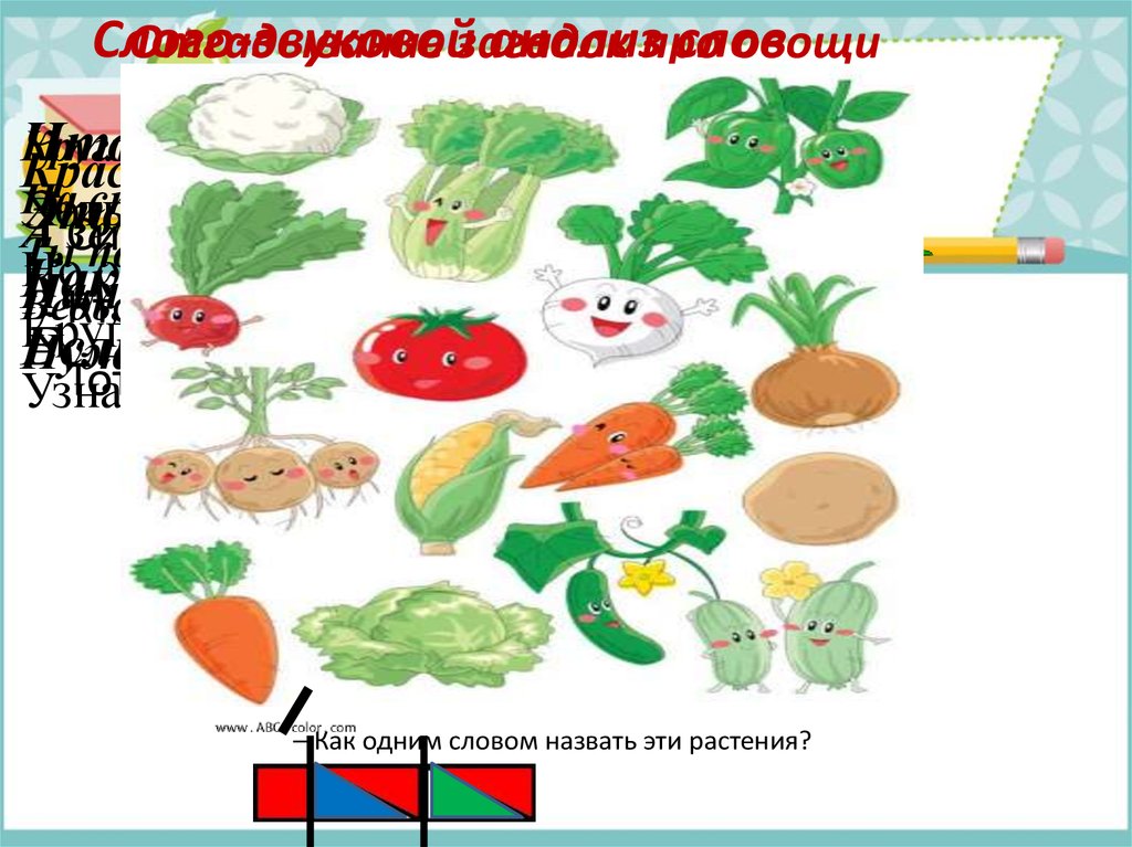 Разбор слова овощи. Схема слова овощи. Овощи схема 1 класс. Овощи схема слова 1 класс. Овощи звуковая схема.