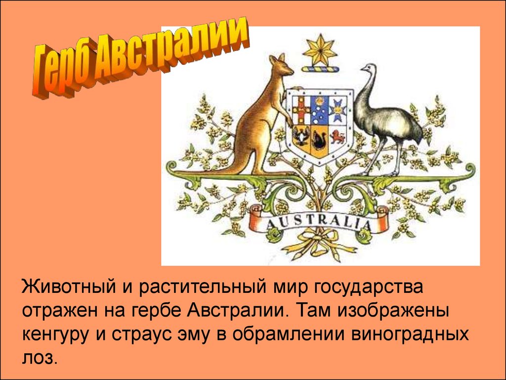 Какое растение изображают на гербах. Герб Австралии. Герб Австралии кенгуру и страус. Животные на гербе Австралии. Что изображено на гербе Австралии.