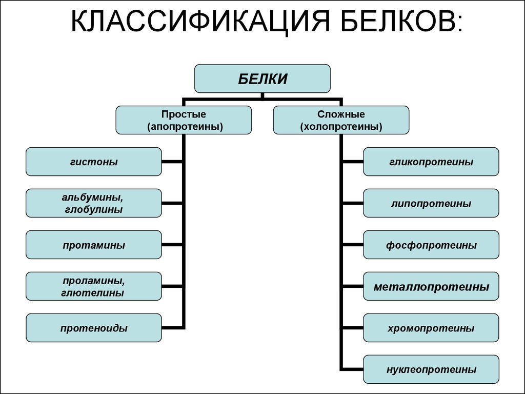 Сложные белки презентация