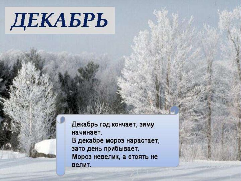 Декабрь какое время года. Стих про декабрь. Маленький стих про декабрь. Детские стихи про декабрь. Четверостишье про декабрь.