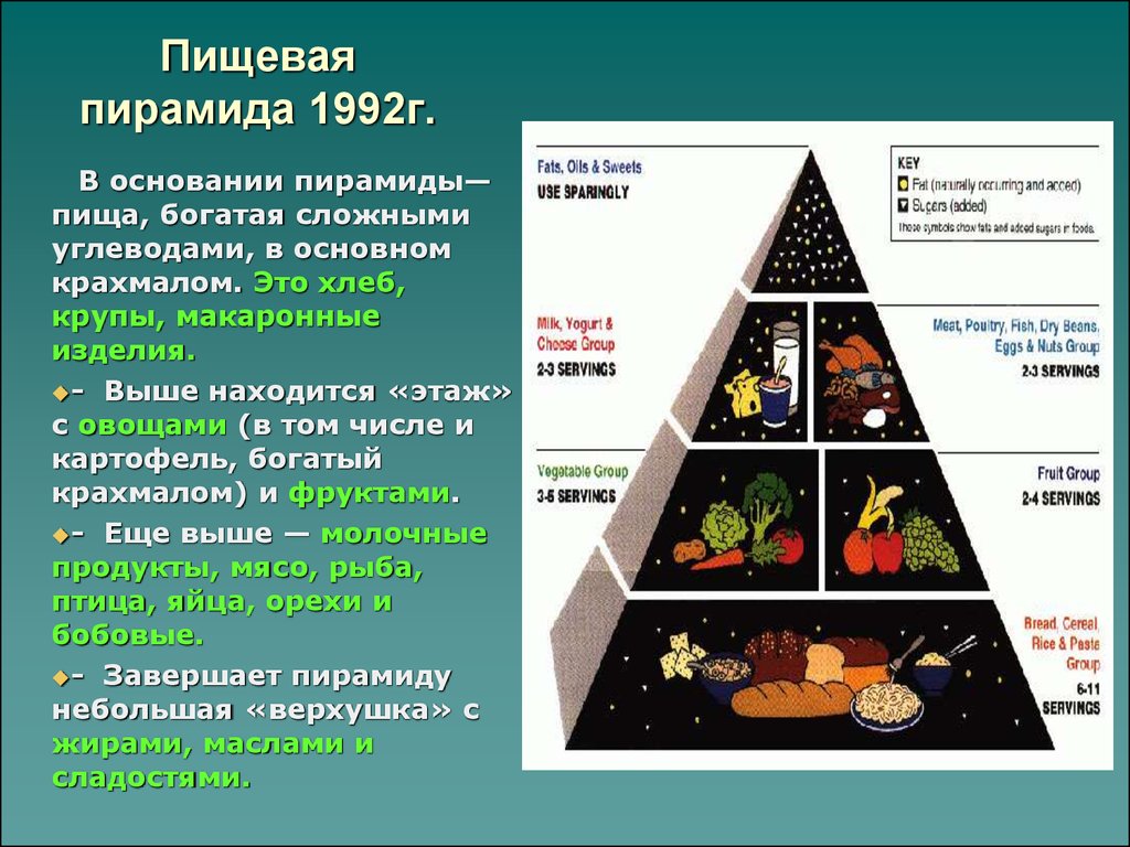 Пищевая пирамида 1992г.