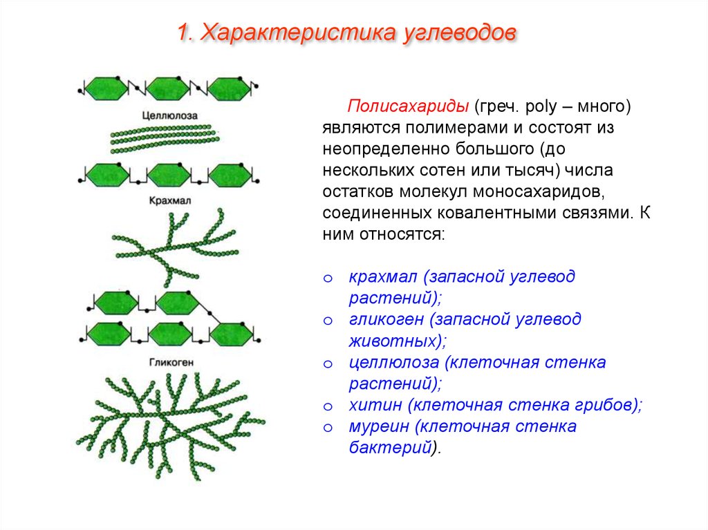 Крахмал в клетках животных. Запасные углеводы растений. Структура молекулы полисахаридов. Структура полисахаридов. Полисахариды клеточной стенки растений.