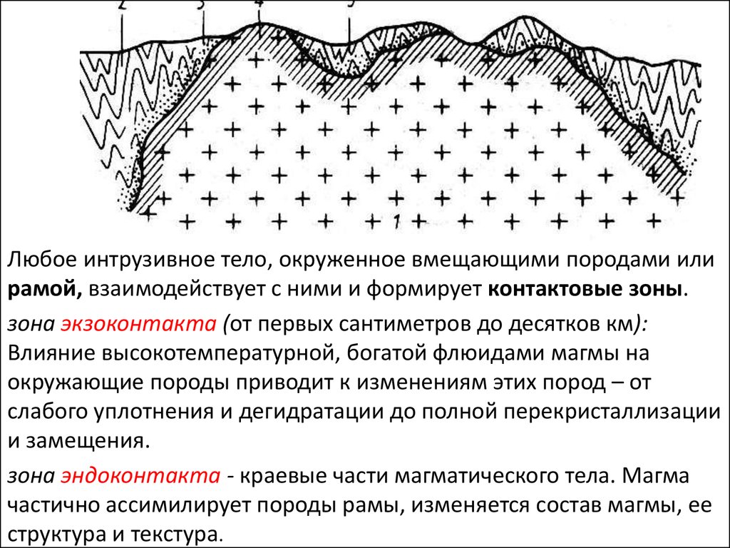 Интрузивные породы. Интрузивные тела структурная Геология. Экзоконтакт. Экзоконтакт Геология. Зона эндоконтакта и экзоконтакта.