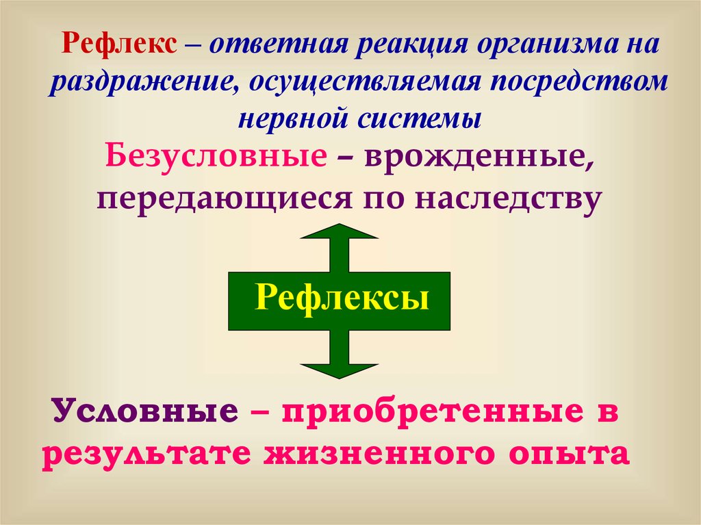 Презентация на тему координация и регуляция