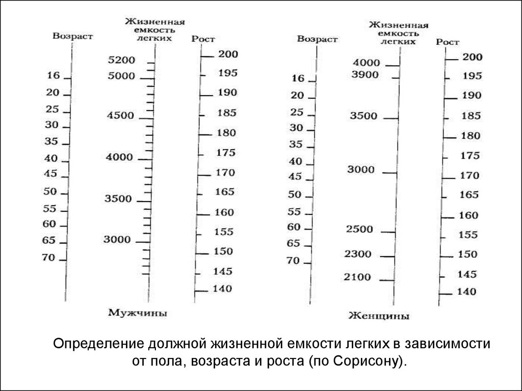 Жизненная емкость у женщин