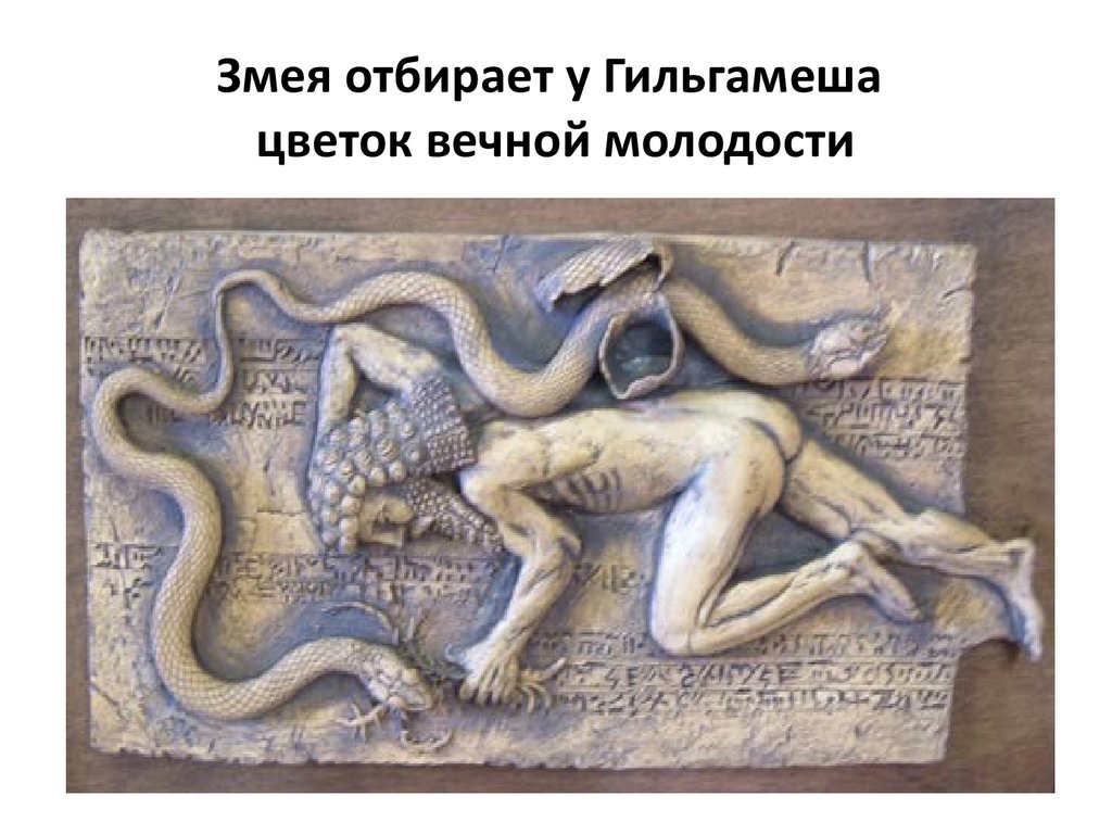 Snake бессмертие. Гильгамеш и цветок бессмертия. Цветок бессмертия Гильгамеша. Гильгамеш и змея. Миф о Гильгамеше.