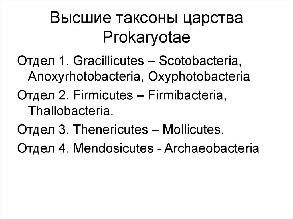 Высшие таксоны царства Prokaryotae