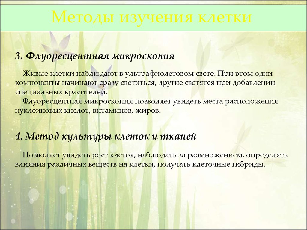 Живой исследование. Методы изучения клетки таблица биология 10 класс. Методы изучения клетки 5 класс биология. Методы изучения клетки 9 класс биология. Методы изучения клеток биология 10 класс.