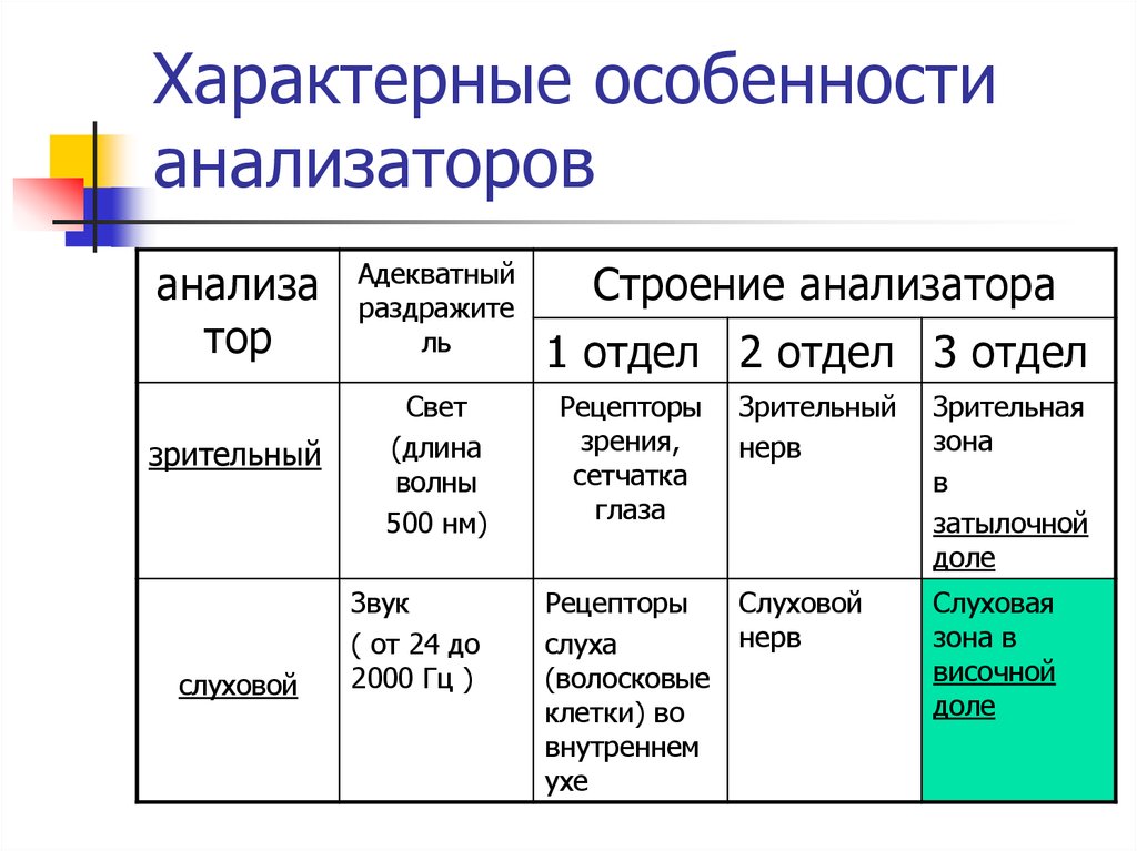 Строение анализатора. Особенности строения анализаторов. Строение состав анализатора. Анализаторы строение анализатора. Анализаторы анатомия таблица.