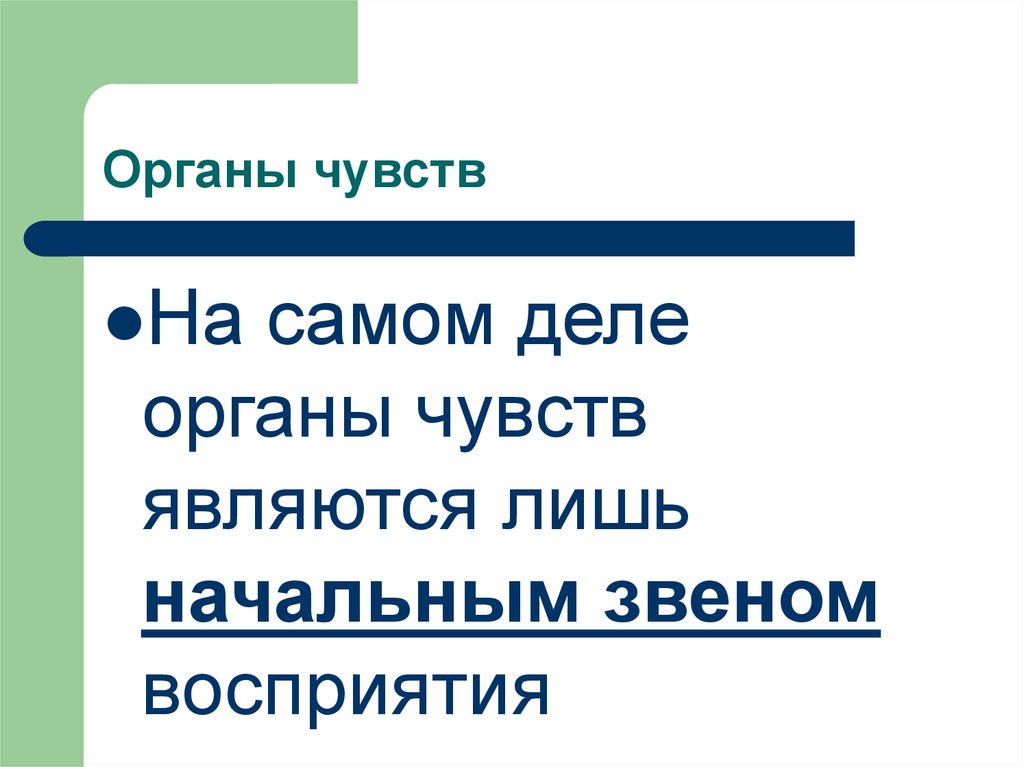 Анализаторы 8 класс презентация