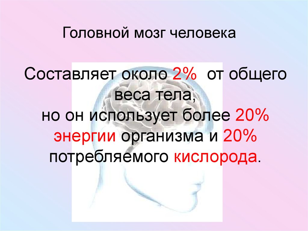 Составляет около. Потребление кислорода головным мозгом. Мозг человека потребляет кислорода. Сердце человека потребляет кислорода. Где расходуется кислород в организме.