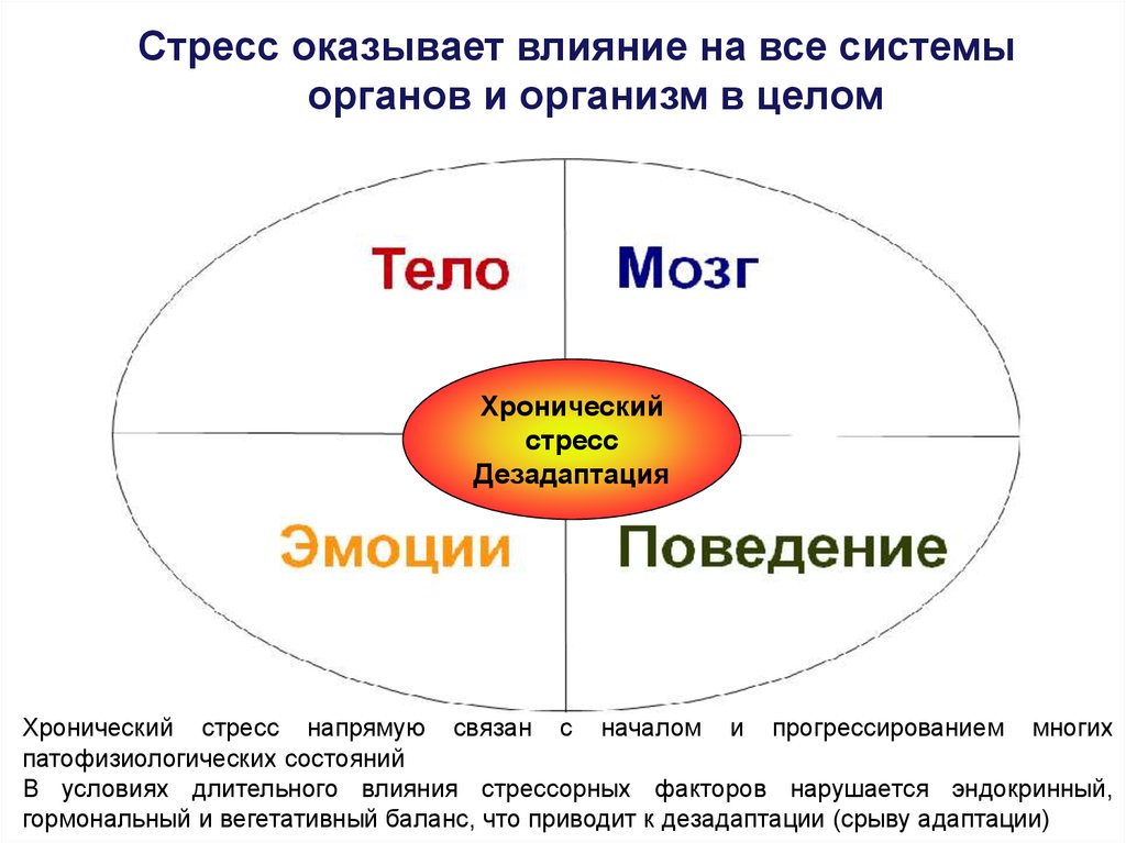 Также оказывает влияние на. Вегетативный баланс это. Международного общества стресс под контролем. Стресс нельзя. Стресс оказывает влияние на гипертонию.