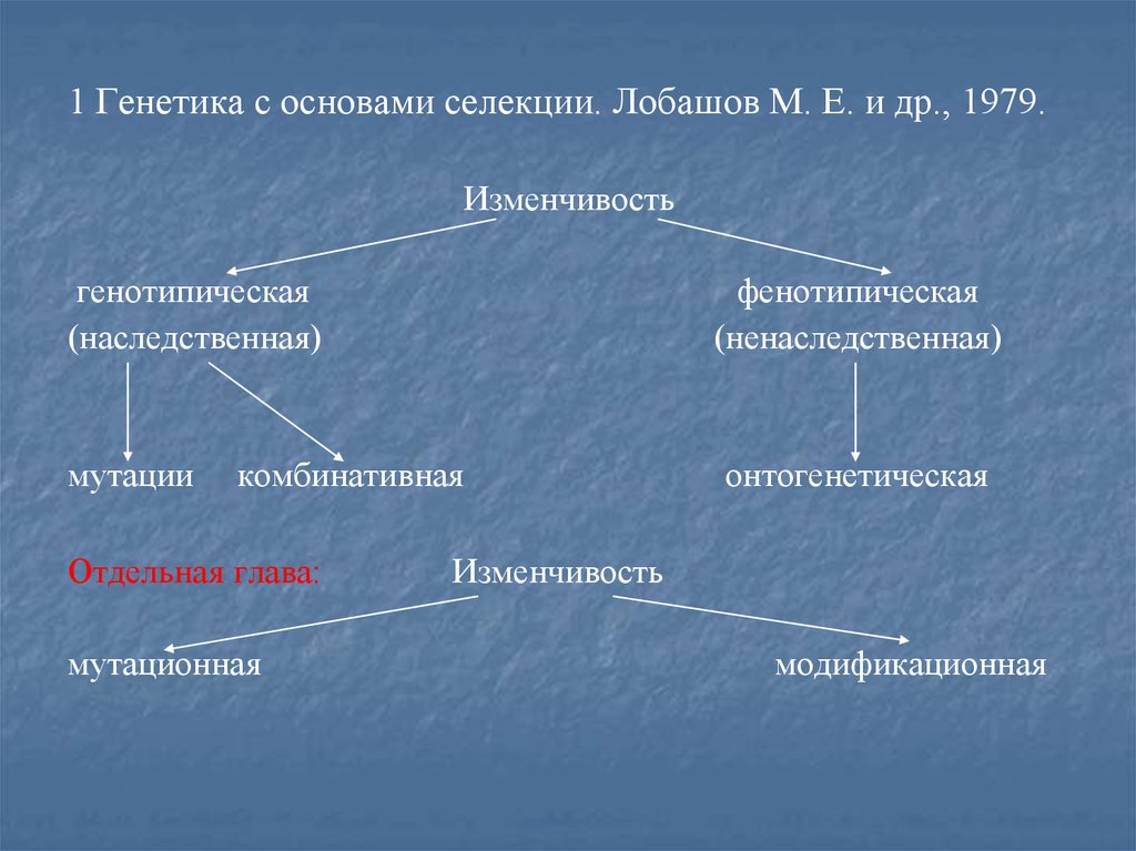 Схема классификации видов изменчивости