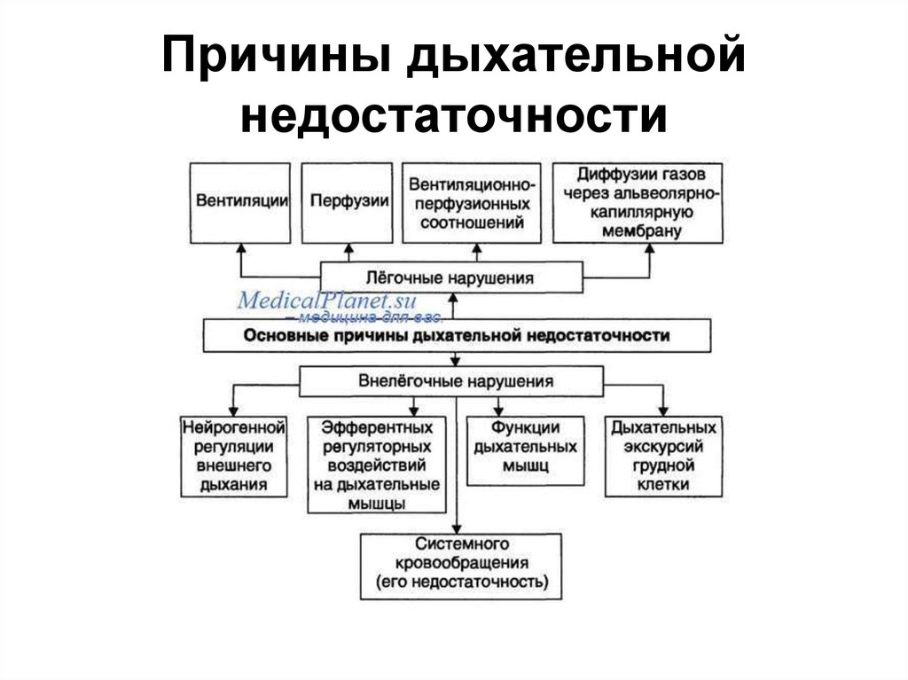 Дыхательная недостаточность патофизиология презентация