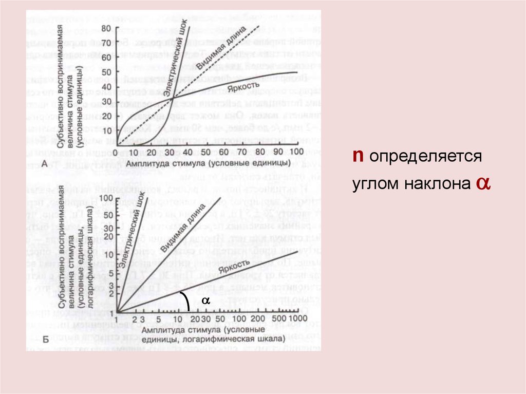 Программы определения углов. Программы определения углов