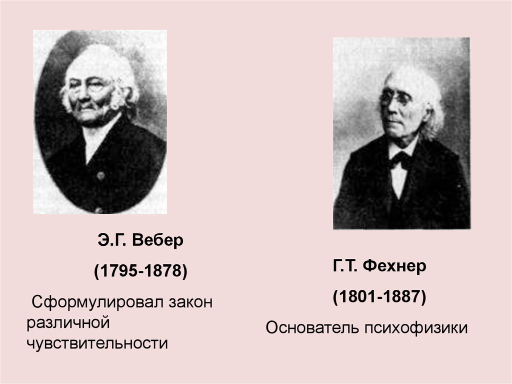 густав фехнер вклад в психологию. фехнер психофизика. теодор фехнер. густав фехнер (1801-1887). исследования фехнера.