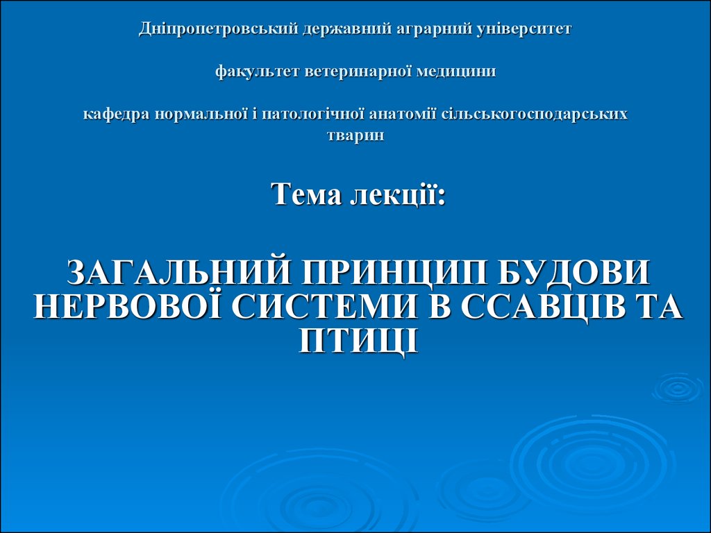 Контрольная работа: Класифікація нервової системи та її будова